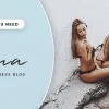 Rima Personal Blog WordPress Theme 2.1.0破解版主题