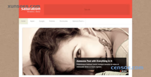SATURATION BLOG STYLE WORDPRESS THEME 1.0.7 GPL Theme