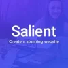 Salient 16.3.1破解版主题