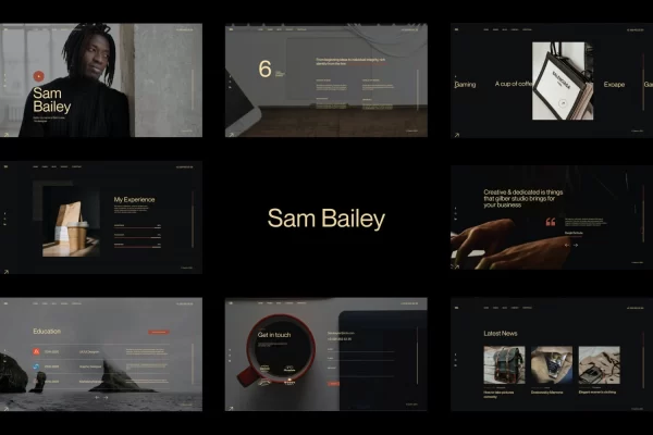 Sam Bailey Personal CV/Resume WordPress Theme 1.0.0 GPL Theme