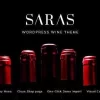 Saras 1.6破解版主题