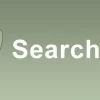 SearchWP Boolean Search 1.4.3破解版插件