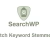 SearchWP Dutch Keyword Stemmer 1.2.4破解版插件