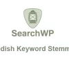 SearchWP Swedish Keyword Stemmer 2.0.2破解版插件