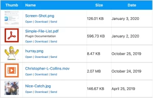 Simple File List Pro 6.1.10 GPL Plugins