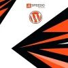 Speedo Racing And Olympics WordPress Theme 1.0.0破解版主题