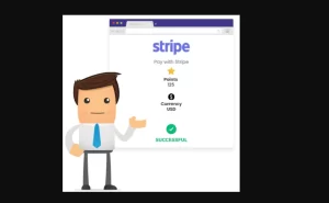 Stripe – buyCred Gateway 2.2.7 GPL Plugins