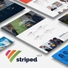 Striped Multipurpose Business and Corporate Theme 2.8 GPL Theme 2 Striped Multipurpose Business and Corporate Theme 2.8破解版主题