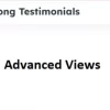 Strong Testimonials Advanced Views 1.3.6 GPL Plugins 3 Strong Testimonials Advanced Views 1.3.6破解版插件