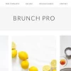 StudioPress Brunch Pro Theme 4.2.0破解版主题