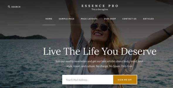 StudioPress Essence Pro Theme 1.5.2 GPL Theme 1 StudioPress Essence Pro Theme 1.5.2 GPL Theme