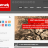 THUNDERSTRUCK EYE CATCHING COLORFUL WORDPRESS THEME 1.1.2破解版主题