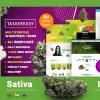 Taskereasy Cannabis Multipurpose WordPress Theme 1.0.0破解版主题