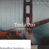 Tesla Pro 1.0.3破解版主题