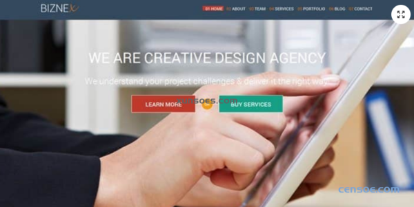 Tesla Themes Biznex WordPress Theme 2.2.15 GPL Theme