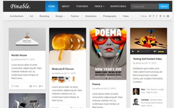 Theme Junkie – Pinable 1.0.6 GPL Theme