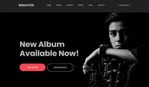 Theme Junkie – Remaster 1.0.0 GPL Theme