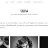Theme Junkie – Silvia 1.0.9破解版主题