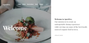 Themes Kingdom Aperitive WordPress Theme 1.1.3 GPL Theme