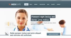 Themes Kingdom Medicate WordPress Theme 2.4 GPL Theme