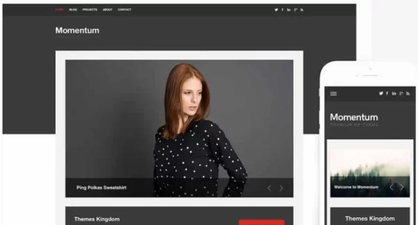 Themes Kingdom Momentum WordPress Theme 2.3.1 GPL Theme