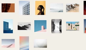 Themes Kingdom Section WordPress Theme 1.2.4 GPL Theme