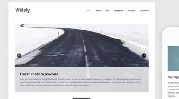 Themes Kingdom Widely WordPress Theme 2.3.1 GPL Theme