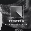 Tristero Tattoo WordPress Theme 1.4破解版主题