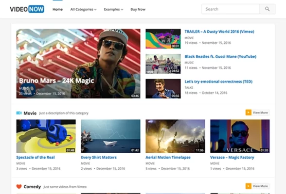 VideoNow Pro 1.9 GPL Theme