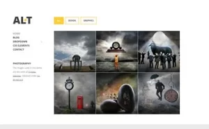 Viva Themes Alternate WordPress Theme 2.2.0 GPL Theme