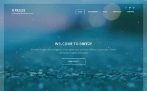 Viva Themes Breeze WordPress Theme 1.1 GPL Theme