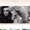 Viva Themes Delirium WordPress Theme 4.1 GPL Theme