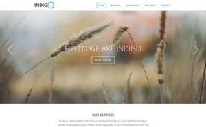 Viva Themes Indigo WordPress Theme 2.2 GPL Theme