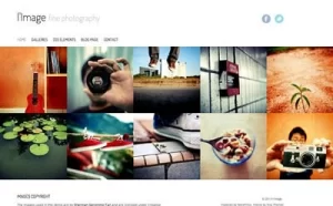 Viva Themes L Image WordPress Theme 3.0.0 GPL Theme