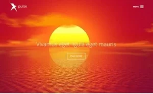 Viva Themes Pulse WordPress Theme 1.1.0 GPL Theme