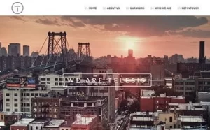 Viva Themes Telesis WordPress Theme 1.4 GPL Theme