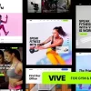 Vive Fitness Gym WordPress 1.2.10破解版主题