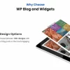 WP Blog and Widgets Pro 2.7破解版插件