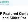 WP Featured Content and Slider Pro – Essential Plugin 1.8破解版插件