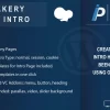 WPBakery Page Intro Addon for WPBakery 1.1破解版插件