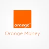 WPDownload Manager Orange Money Payment Gateway 1.3.0破解版插件