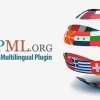 WPML Gravity Forms Multilingual 1.8.2破解版插件