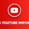 WPS YouTube Importer WP Script 2.0.0破解版插件
