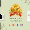WizeStore 1.14.9破解版主题