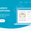 WooCommerce Product Options Barn2 Media 1.6.9破解版插件