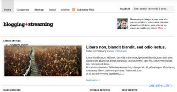 WooThemes Blogging Stream Premium Theme 2.7.1 GPL Theme