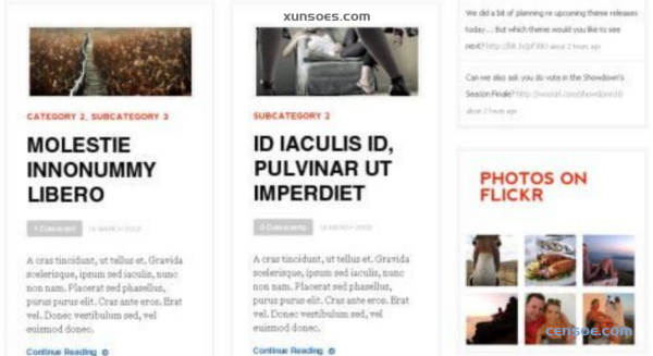 WooThemes Daily Edition Premium Theme 1.6.9 GPL Theme
