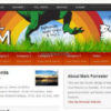 WooThemes Digitalfarm Premium Theme 1.4.3 GPL Theme 2 WooThemes Digitalfarm Premium Theme 1.4.3破解版主题