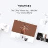 Woostroid2 Multipurpose Elementor WooCommerce Theme 1.0.13破解版主题