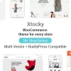 Xtocky 2.3.0破解版主题